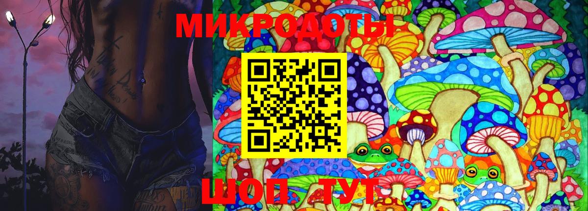 Псилоцибиновые грибы Psilocybe  Вход с VPN  Щёлково 